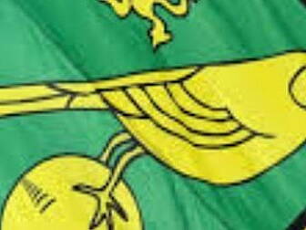 Norwich sack Alex Neill 